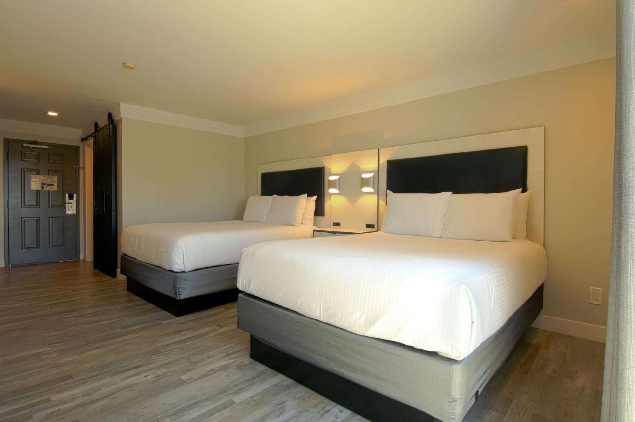 Art Hotel Laguna Beach Ngoại thất bức ảnh